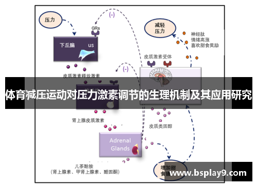 体育减压运动对压力激素调节的生理机制及其应用研究